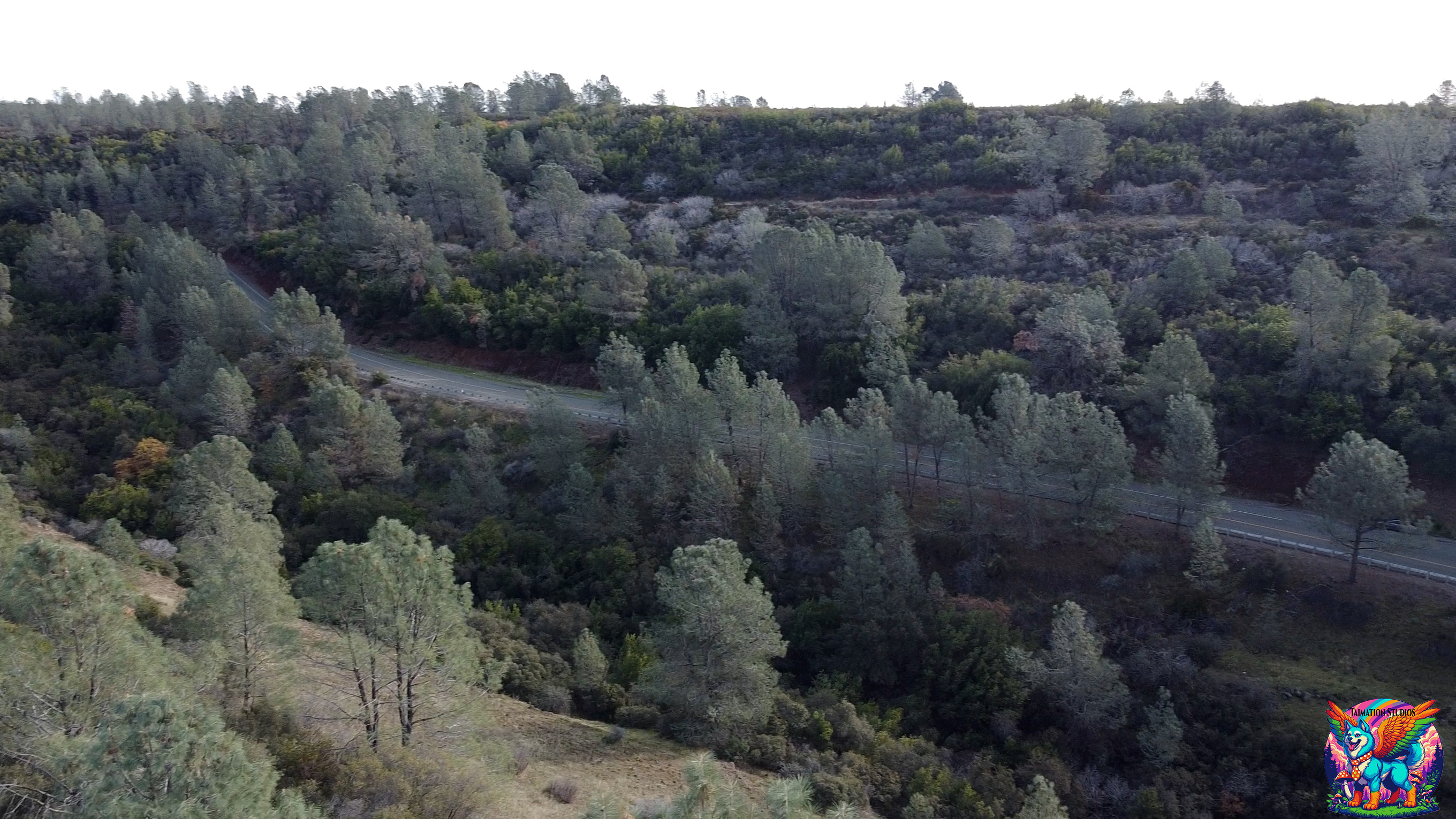 Aerial view of a luxury property